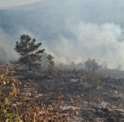 Požar koji je jučer izbio na Trebeviću i dalje aktivan