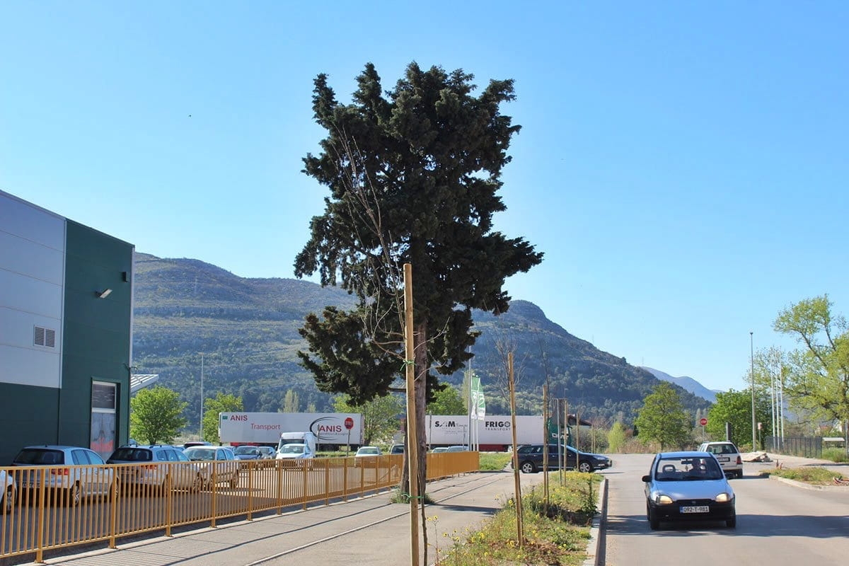 Zelena ofanziva: Grad ulaže u prirodu i izgled