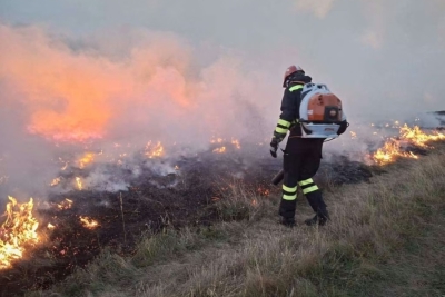 NEMAR KOŠTAO PRIRODU: Starija žena osumnjičena za izazivanje velikog požara