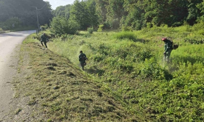 Ekipe na terenu: Nastavlja se uređenje zelenih površina u Banjaluci
