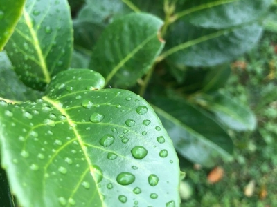 Danas postepeno naoblačenje