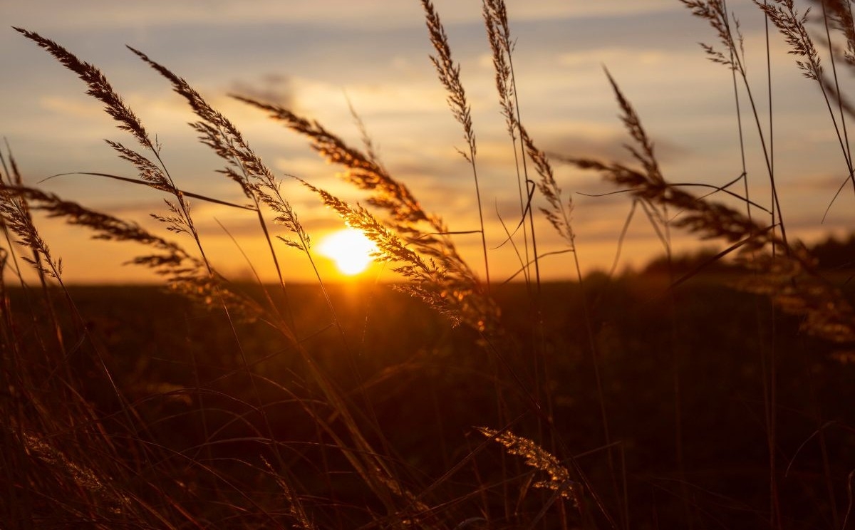 Pred nama posljednji trzaj ljeta: Temperature do 34 stepena, a kraj septembra donosi preokret
