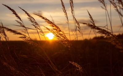 Pred nama posljednji trzaj ljeta: Temperature do 34 stepena, a kraj septembra donosi preokret