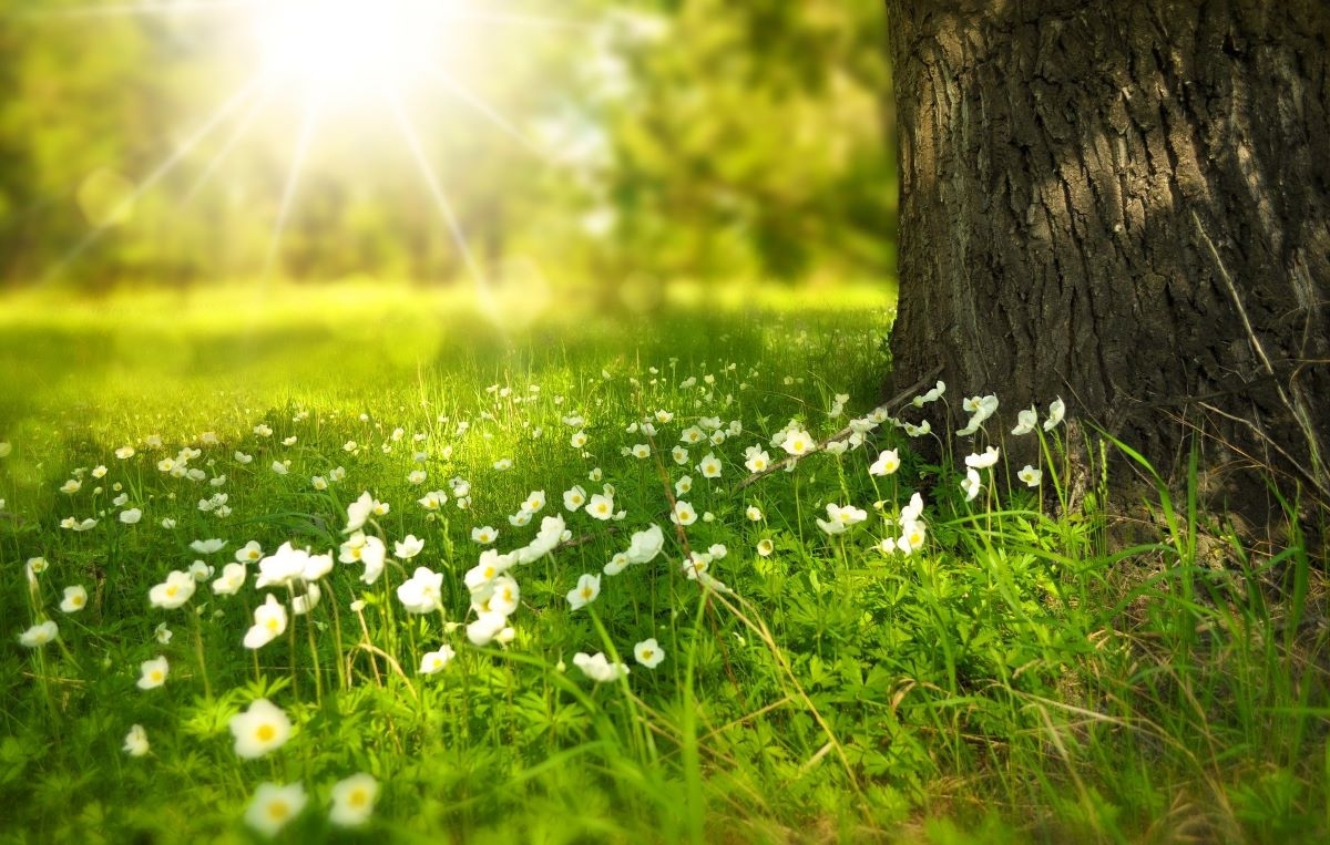 Detaljna prognoza za naredna četiri dana: Evo šta kažu meteorolozi