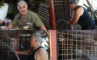 Emin više od 20 godina brine o medvjedima: Kupa ih tri puta dnevno kako ih ne bi "udarila sunčanica"