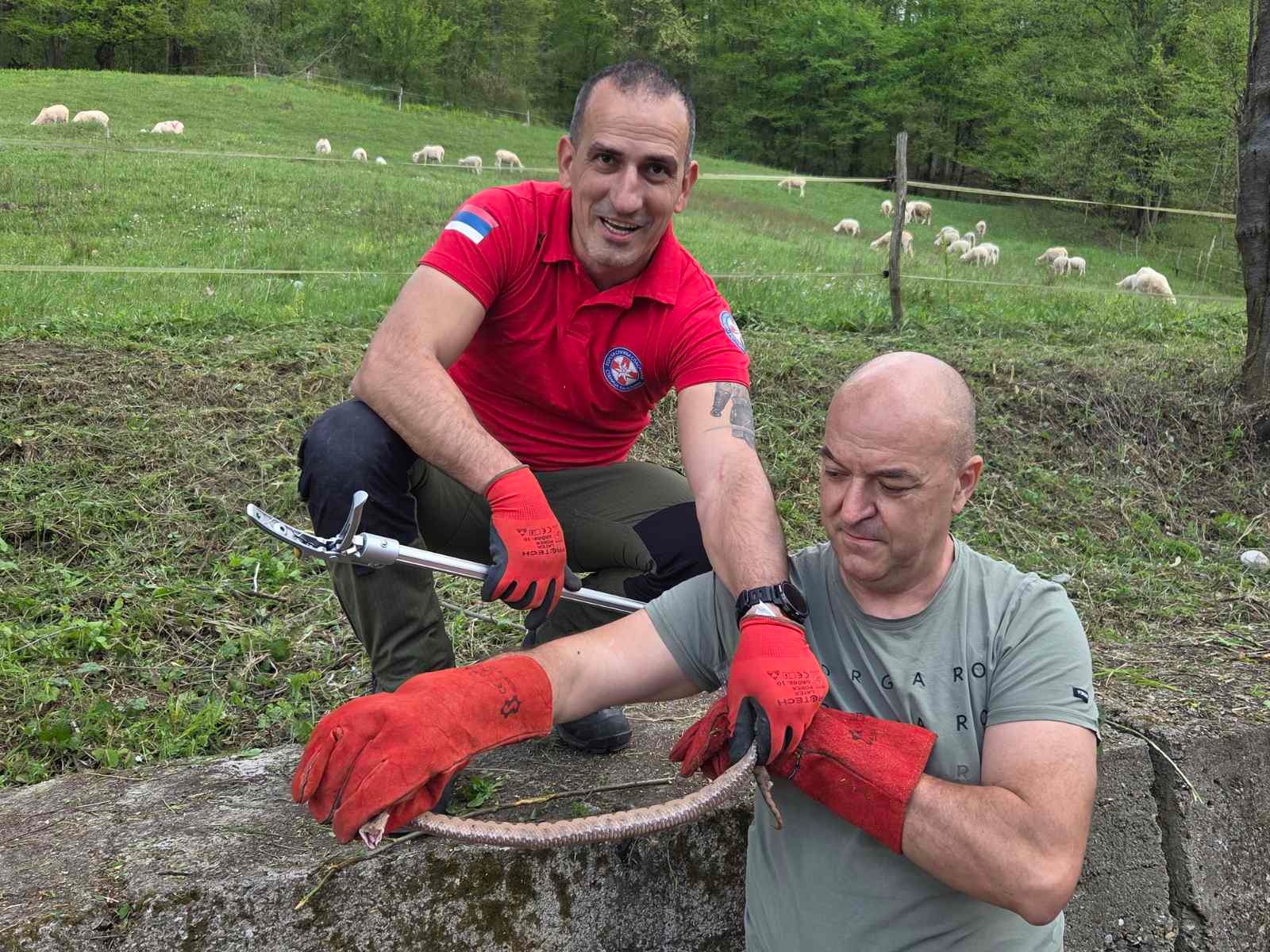 Lopare, upozorenje: Uočene zmije - poskoci u blizini škole