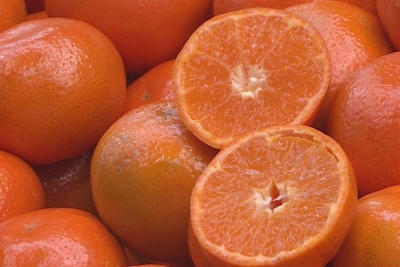 Sumnja se na opasne pesticide: Inspekcija provjerava uvoz grožđa, mandarina i breskvi na tržište BiH