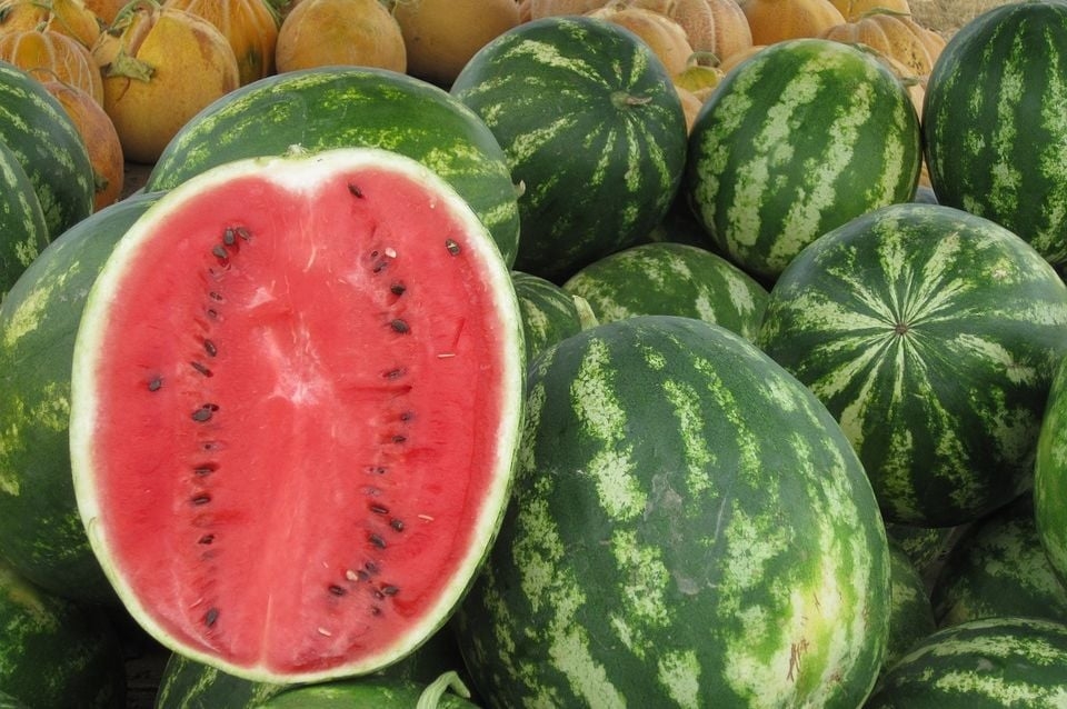 Presjekli ste lubenicu i ugledali žute linije? Evo kada mora pravo u kantu