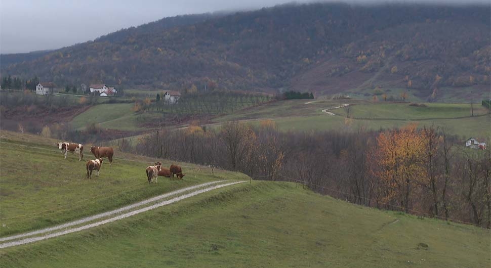 Диско Крајина на Мањачи осваја регион: Млади из Србије хрле ка Бањалуци