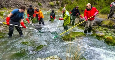 Nesvakidašnja operacija: Premjestit će 12.000 riba radi čišćenja rijeke