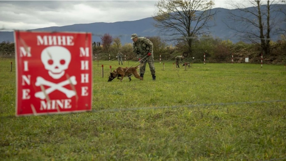 Pod minama više od 757 kilometara kvadratnih površine