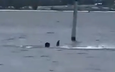 STRAVIČNI PRIZORI: Radnika vojne baze tokom pauze za ručak napala ajkula, ljekari mu se bore za život (VIDEO)