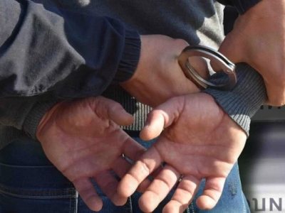Zbog krijumčarenja migranata uhapšeno 29 ljudi