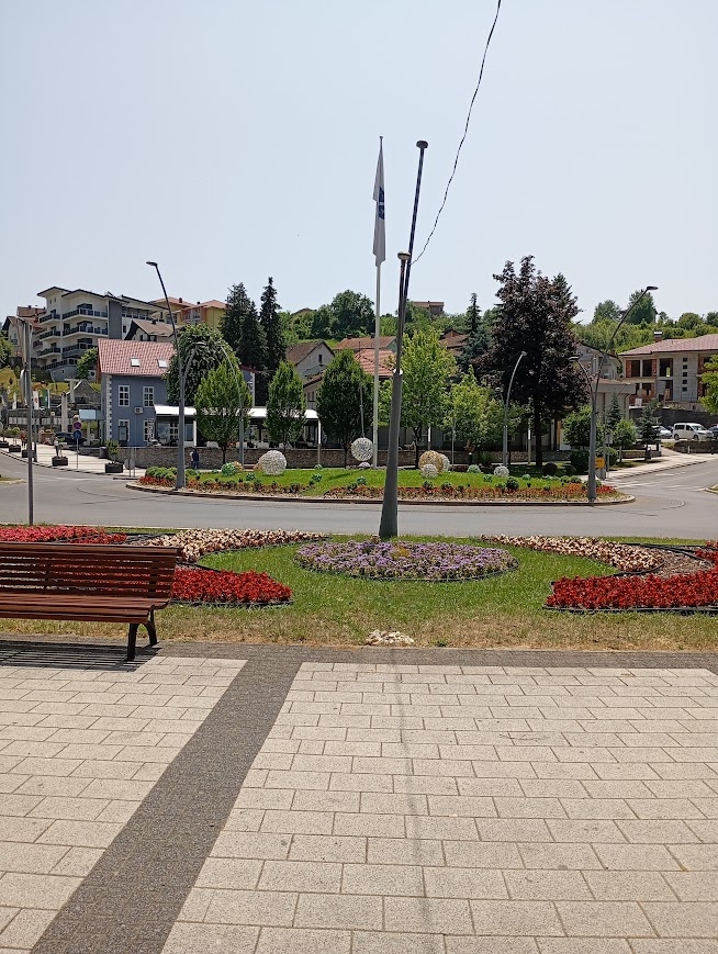 Cazin bez većih incidenata: Jedan slučaj narušavanja reda, saobraćaj otežan širom BiH
