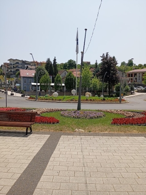 Cazin bez većih incidenata: Jedan slučaj narušavanja reda, saobraćaj otežan širom BiH