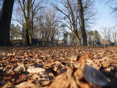 Ljeto predaje štafetu jeseni: Evo šta nas očekuje narednih dana