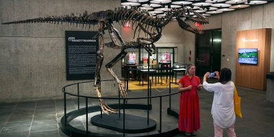 Skelet dinosaura ide na aukciju u New Yorku: Očekuje se da dostigne cijenu između šest i devet miliona dolara