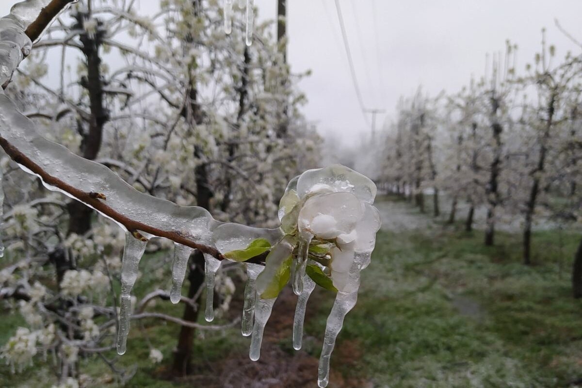(FOTO) Nema dileme, jesen kuca na vrata: Sutra HLADNO SA MRAZOM, evo gdje će temperatura PASTI U MINUS