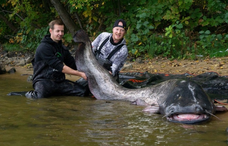 Svjetski rekord: Nijemac upecao najdužeg soma na svijetu (FOTO)