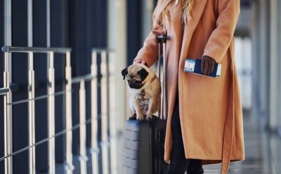 Nova pravila za kućne ljubimce koji putuju u EU: Evo koji dokumenti će im biti potrebni