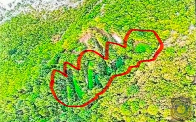 U toku opsežna akcija FUP-a u BiH: Oktrivene velike plantaže kanabisa, obavljaju se pretresi