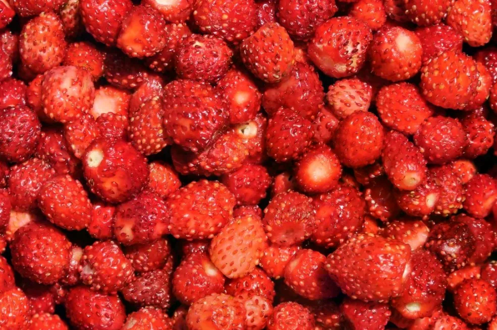 Kako pravilno oprati jagode: Jednostavan trik uklanja prljavštinu i pesticide za nekoliko minuta