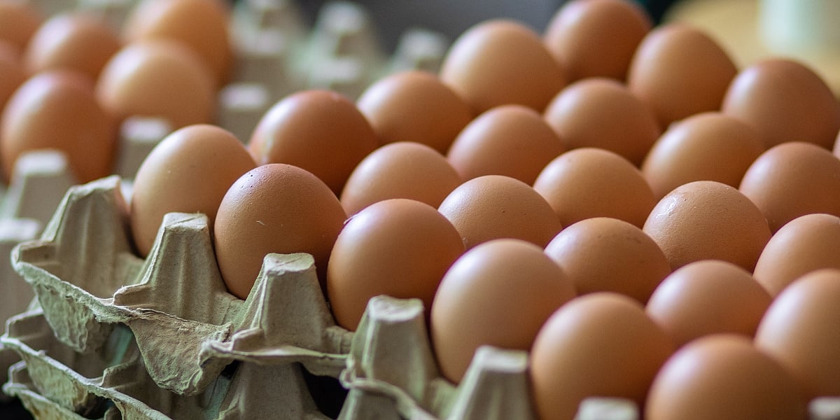 Izvoz jaja iz BiH povećan za čak 84 posto, proizvođači priželjkuju dozvolu za cijelo EU tržište