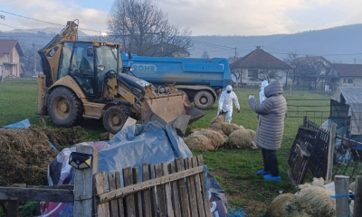 Alarm u Srednjobosanskom kantonu: Bruceloza se pojavila na 39 imanja