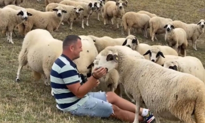 Dalibor kuvao za Putina i Makrona pa otkrio “tajnu”: Evo šta vole da jedu najmoćniji ljudi svijeta VIDEO