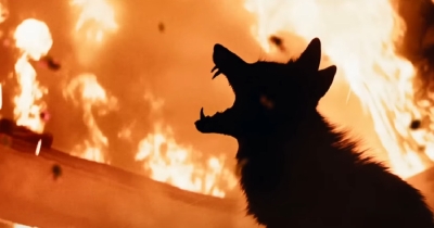 Horor-komedija "Coyotes" donosi borbu između životinja i ljudi (VIDEO)