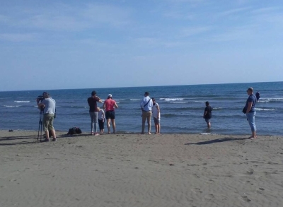 (FOTO) UŽAS NA PLAŽI Nestao tinejdžer, igrao se u pijesku, a zatim mu se izgubio svaki trag
