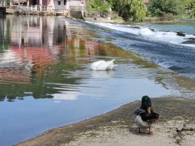 U petak promjenljivo oblačno uz sunčane periode (VIDEO)