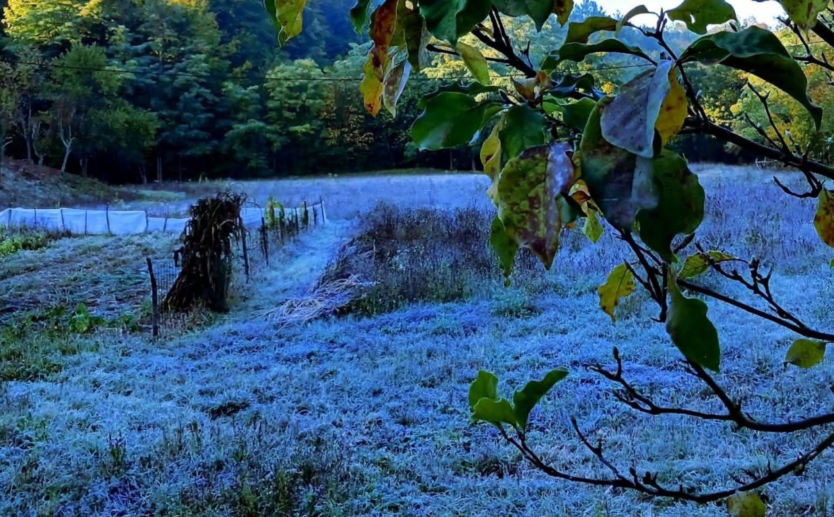 Stiže novi val padavina u BiH: Jutarnje temperature i od -1 °C, moguća i jaka bura