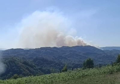 Kamenica kod Zvornika: Požar se spušta prema kućama
