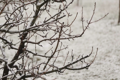 (FOTO) Ima li proljeća na vidiku? Još danas LIJEPO VRIJEME, a onda preokret kojem se u ovo doba NISMO NADALI