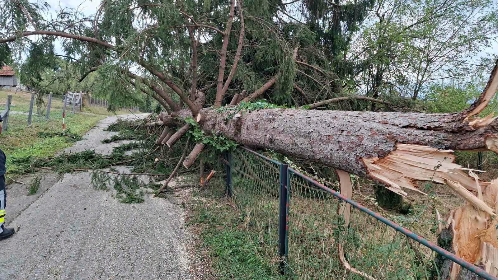 Vatrogasci imali pune ruke posla: Sanirane posljedice jučerašnjeg nevremena u Banjaluci FOTO