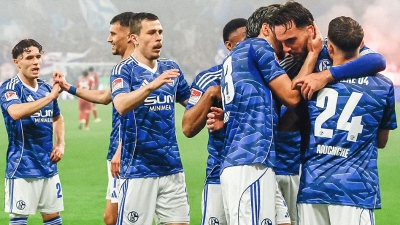 Šalke savladao Fortunu i osigurao povratak u Bundesligu, Edin Džeko se vratio nakon povrede i dočekan gromoglasnim aplauzom