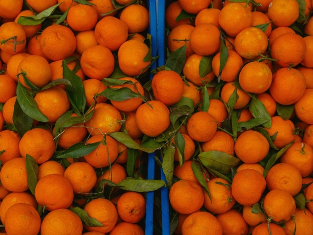 Sezona je mandarina: Što omiljeno jesensko voće donosi organizmu?