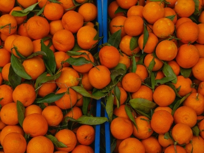 Sezona je mandarina: Što omiljeno jesensko voće donosi organizmu?