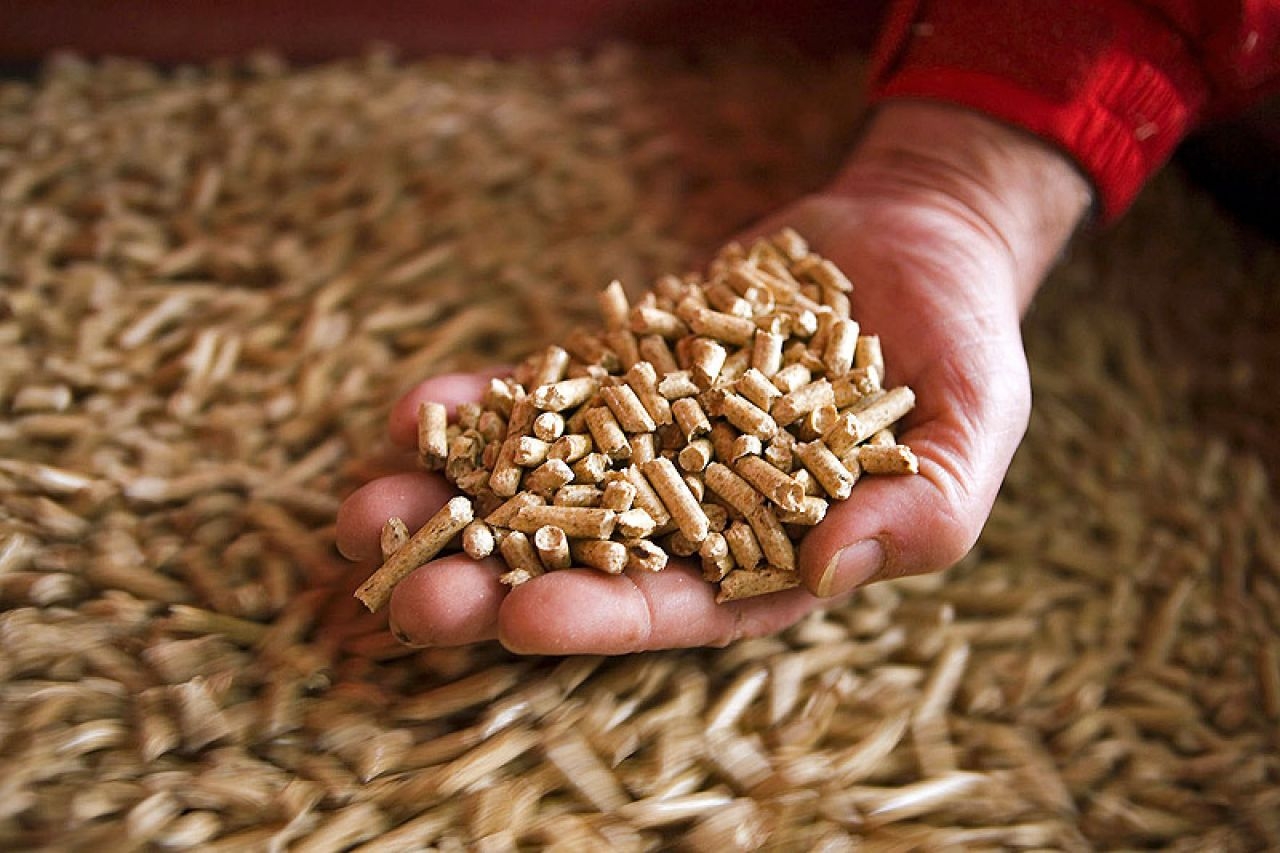 Cijene peleta bi mogle “divljati”