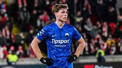 Ovo je Ermin Mahmić, novi reprezentativac BiH