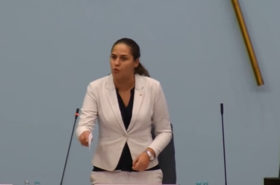 NAKON NESREĆE: Iz NSRS-a otkrili je li Ljubojević smjela koristiti službeno vozilo i ko će platiti štetu