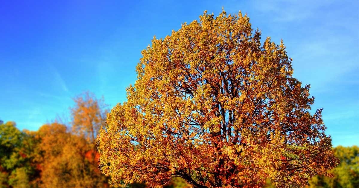 Poznati meteorolog predviđa kakva nas jesen očekuje