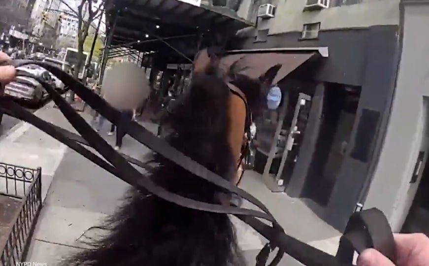 Nevjerovatne scene u New Yorku: Kako izgleda potjera za kriminalcem na konju?