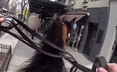 Nevjerovatne scene u New Yorku: Kako izgleda potjera za kriminalcem na konju?