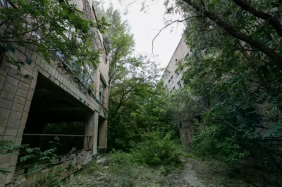 U Černobilu se dešava nešto nevjerovatno! Ovo niko nije mogao ni da sanja!