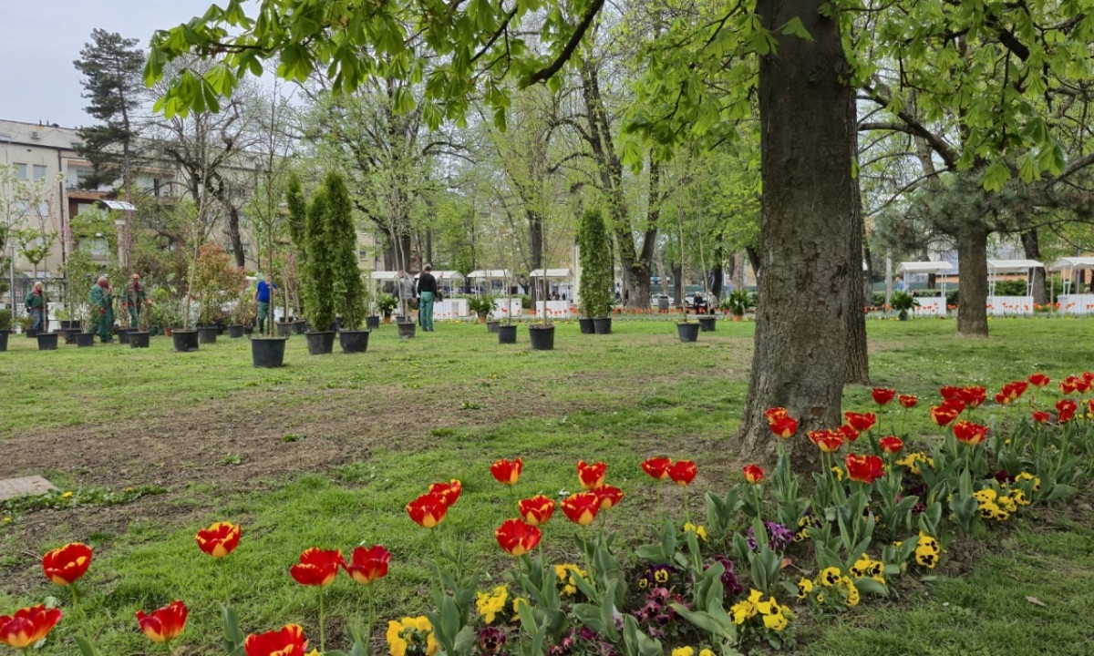 Od sutra – sve što vam treba za balkon i vrt: Počele pripreme za banjalučki festival FOTO/VIDEO