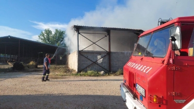 U požaru kod Širokog Brijega stradale dvije krave