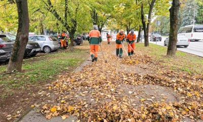 Prikupljanje opalog lišća u Banjaluci: Prioritet ulice sa najvećim brojem širokolisnog drveća