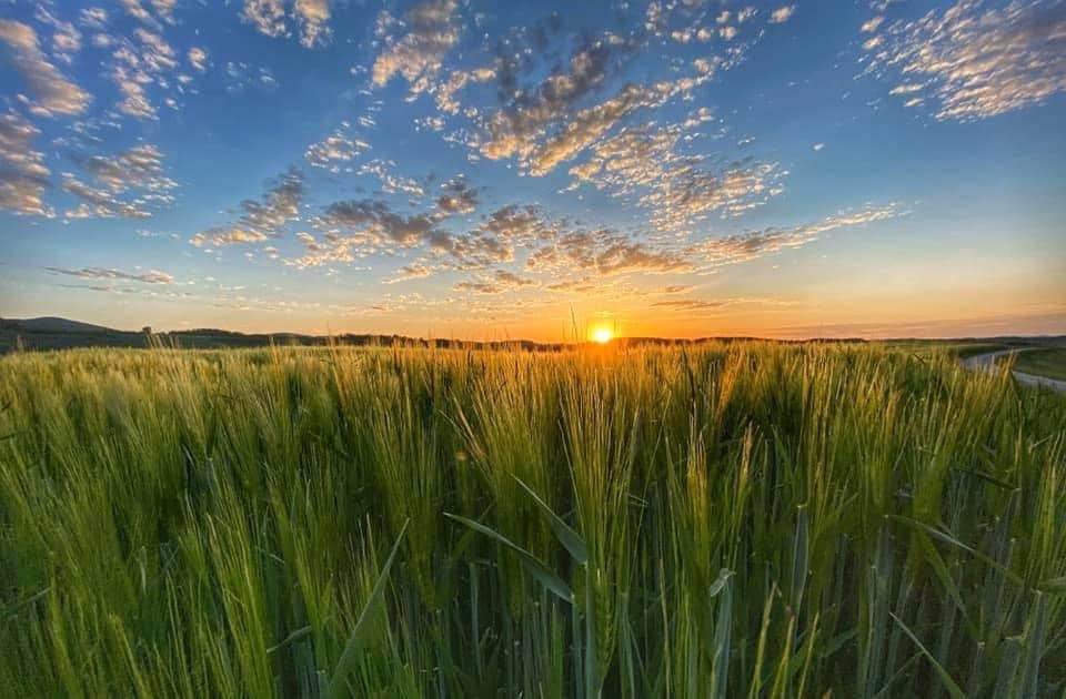 UPRAVO IZDATO NOVO UPOZORENJE RHMZ-a: Vrlo toplo vrijeme se nastavlja, blaži pad temperature tek…
